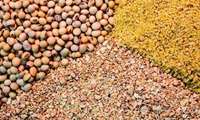  صادرات خوراک آبزیان از استان مرکزی به شش کشور دنیا